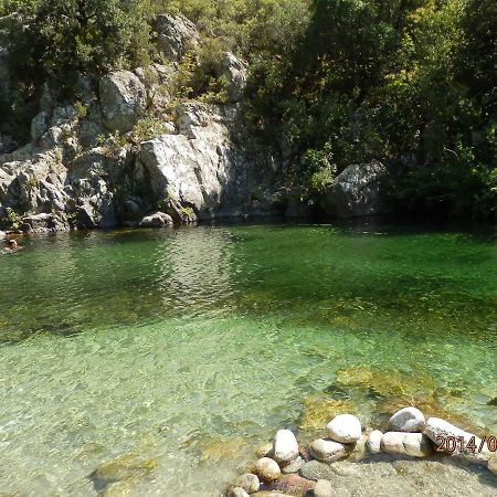 Location Vacances Linguizzetta Kültér fotó